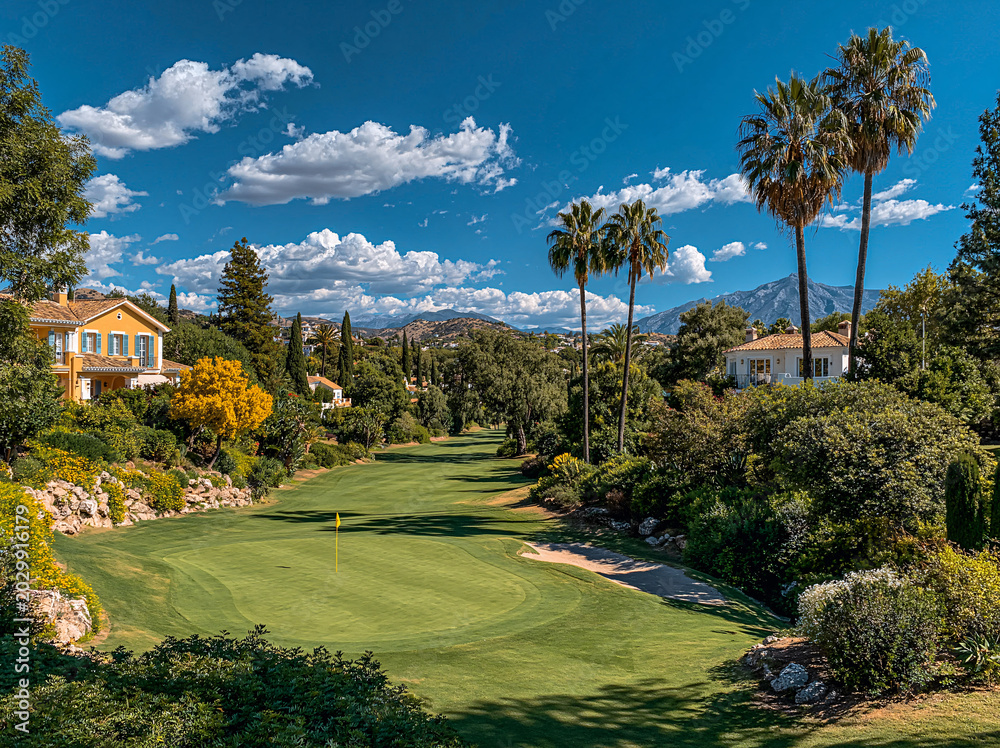 Obraz premium A sunlit golf course features palm trees, lush greens, and a mountain backdrop under a clear blue sky.