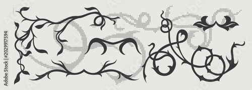 Vector design element of classic baroque ornaments with elegant scrollwork, medieval details.
