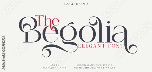 Obraz na plátně Luxury wedding alphabet letters font with tails