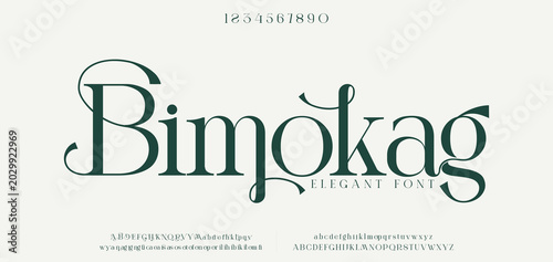 Tableau sur toile Elegant and artistic serif font with flowing curves and timeless charm, ideal fo