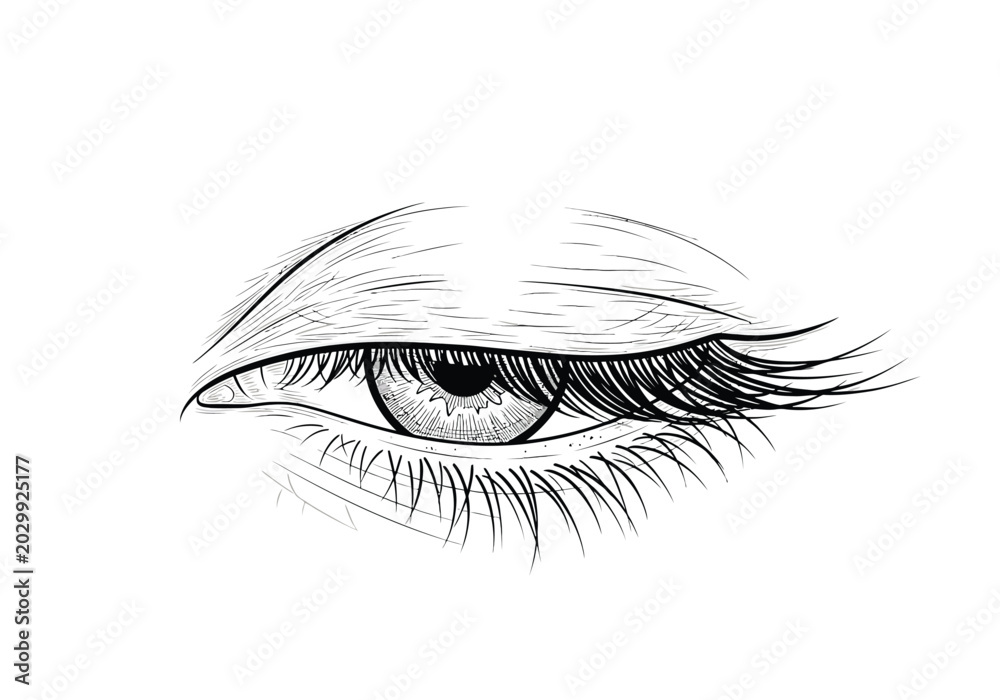 Obraz premium Detailed hand drawn ink sketch of a human eye with long eyelashes and defined iris, cosmetic