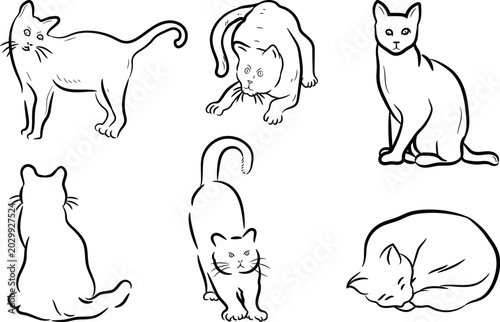 Cat set naive blue sketch pattern vector
