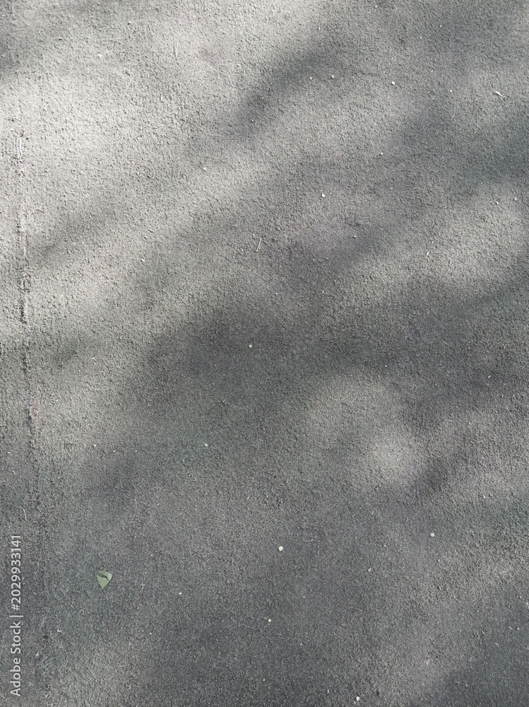 Fototapeta premium Asphalt Pavement With Soft Tree Shadow Patterns And Small Leaf Fragment In Outdoor Walkway Under Muted Daylight Urban Setting Textured Surface.