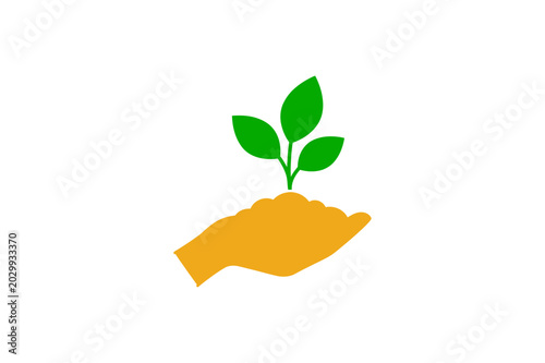 Hand holding a small green plant sprout