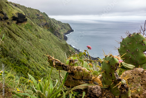 South coast of Sao Miguel biggest island of Azores