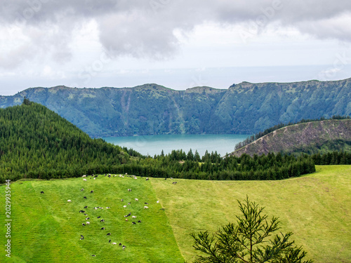 Walking on Sao Miguel biggest island of Azores