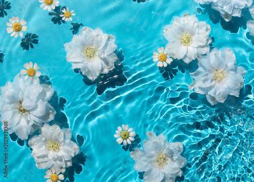 Chamomile and larkspur flowers swim in transparent water texture on blue background with harsh sunlight