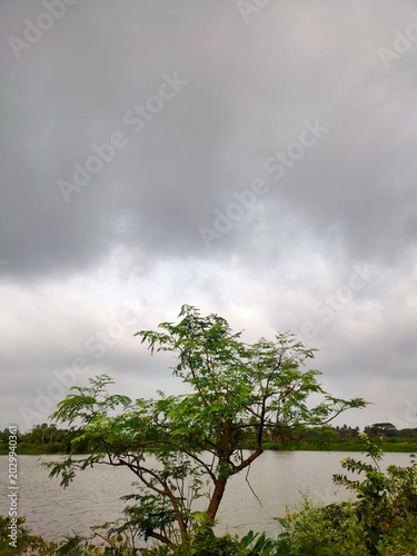 Tranquil moment by a water body behind a tree, natural rural landscape view with cloudy sky 