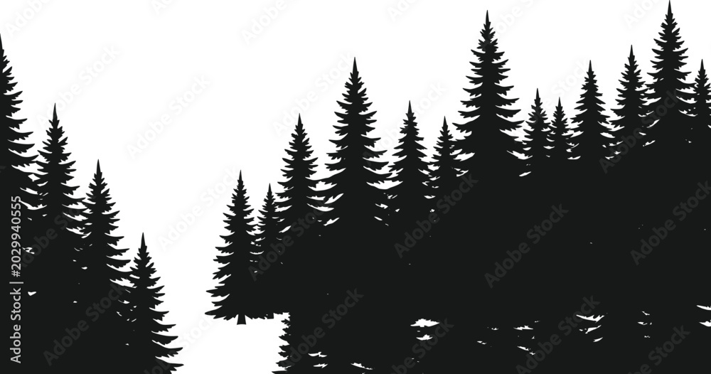 Fototapeta premium Dense pine forest silhouettes with evergreen trees in layered woodland landscape design for natural scenic background elements