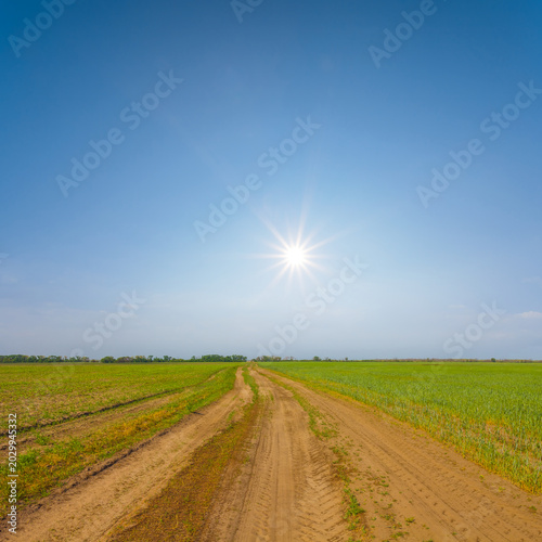 ground road among green rural fields under a sparkle sun, spring agricultural landscape