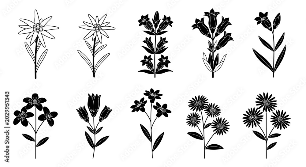 Fototapeta premium Hand-drawn floral elements, botanical illustrations, black and white line art