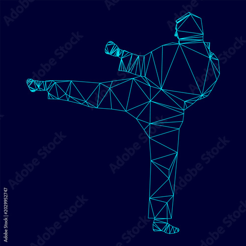 Obraz na plátně Karate man low poly triangulation triangulated polygonal electric cyan blue vibr