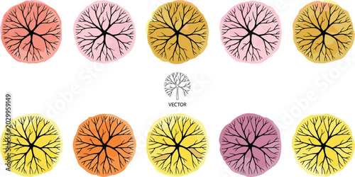 Photos Top View Tree Plan Symbols Architectural Landscape Vector Set with Sketchy Color