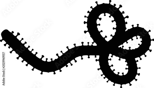 ebola virus micro organism strand filament silhouette medical vector graphic