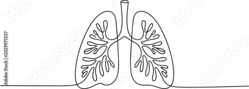 Obraz na płótnie Continuous line drawing of human lungs with trachea and bronchi