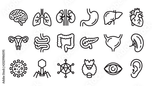 Foto Set of Human Internal Organs and Biological Icons in Line Art Style