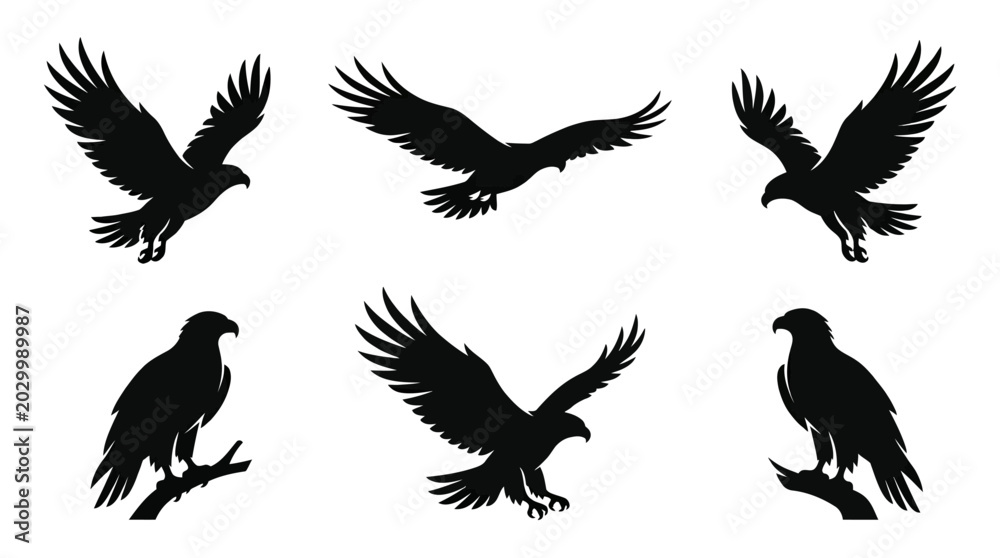 Obraz premium different black sea eagle silhouettes on a clean white background, minimalist vector style.