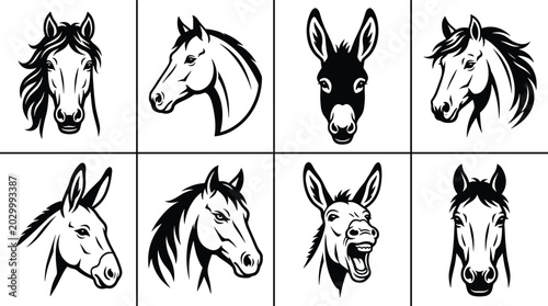 Konstfotografi Set of black and white featuring horse and donkey heads in various poses and exp