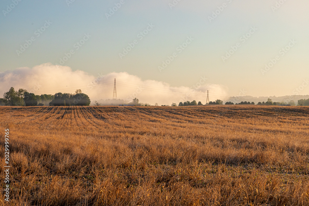 Fototapeta premium sunset in the countryside