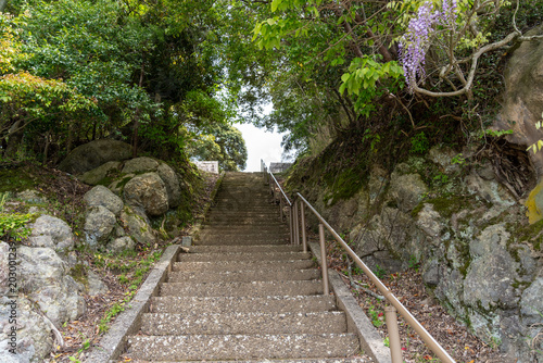 Tableau sur toile Steps leading up to a trail to an abandoned temple Shichimendo in Ine Bay fishin