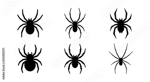 Quadro su tela Black spider silhouettes set, 6 arachnid vector icons, creepy crawly insects for