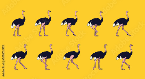 Complete walk cycle animation frames for an ostrich showing its distinctive long-legged gait across a bright yellow background.
