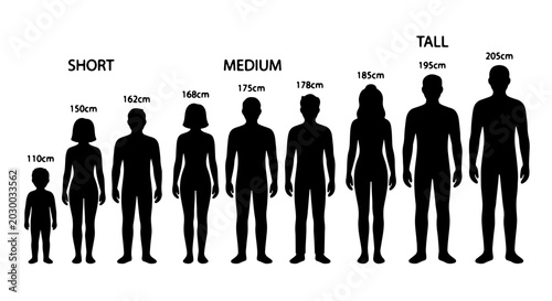 Bild auf Leinwand Human Height Comparison Chart, Silhouette Figures Showing Short, Medium, and Tal