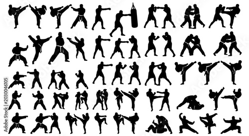 Fotografía Martial Arts Silhouettes Collection: Dynamic Karate, Kung Fu, and Boxing Poses f