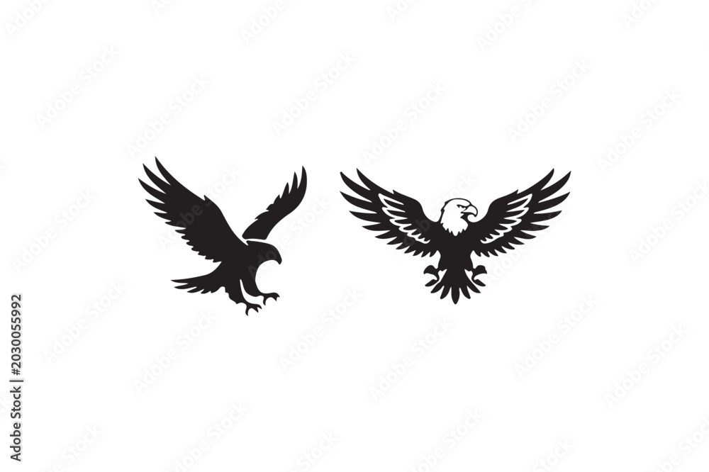 Fototapeta premium Flying Eagle Vector Illustration