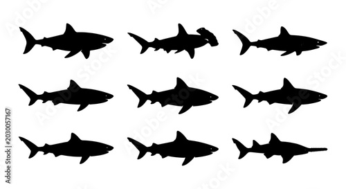 Foto Shark silhouette collection, 9 predatory fish icons, black hammerhead and sawfis