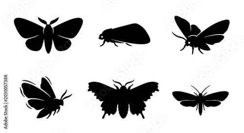 Foto Six Silhouette Moth Icons, Insect Vector Graphics, Nocturnal Butterfly Shapes, W