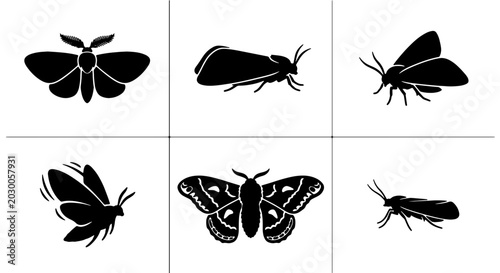 Bild auf Leinwand Set of Six Black Moth Silhouettes, Insect Vector Icons, Nocturnal Lepidoptera Gr