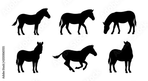 Cuadro en lienzo Set of Six Horse Silhouettes, Equine Vector Icons, Animal Graphics
