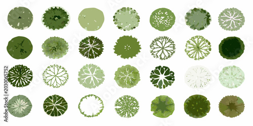 tree canopy collection watercolor style aerial view grid