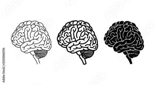 Bild auf Leinwand Brain Icons Set, Medical Anatomy Vector Graphics, Human Mind Concept Art