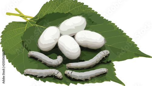 Tableau sur toile Realistic silkworm larvae and white cocoons vector illustration on green mulberr