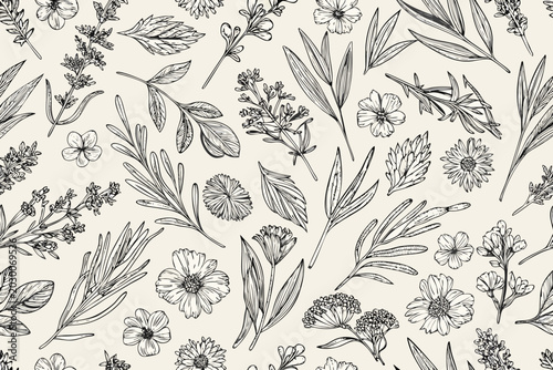 Fotografie floral pattern design continuous botanical illustration on beige background