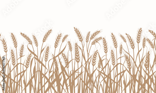 Konstfotografi Sepia Tone Silhouette of Wheat Stalks and Leaves Against a White Background grai