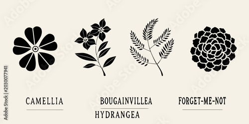 Bild auf Leinwand botanical silhouettes of camellia bougainvillea hydrangea and forget me not