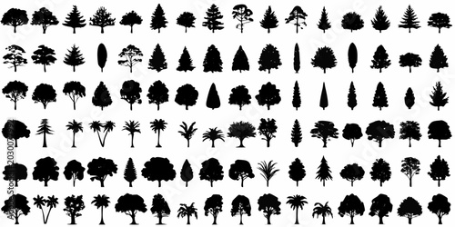 Foto tree silhouettes collection various shapes and species black on white