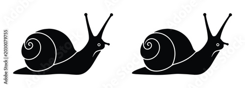 Foto Two black snail silhouettes with swirling shells, simple graphic icons, represen