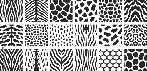 Seamless leopard skin animal print pattern texture for wallpaper textile and fashion design