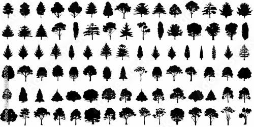 Photos tree silhouettes collection on a white background