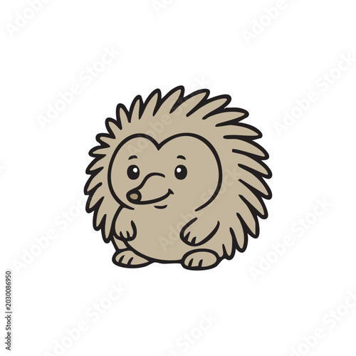 vector illustration of cute echidna