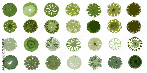 Konstfotografi Tree top views aerial perspective green and gray vector illustration