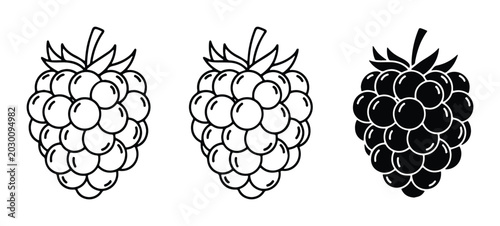 Raspberry Icons Set: Black and White Vector Graphics for Healthy Food and Sweet Treats