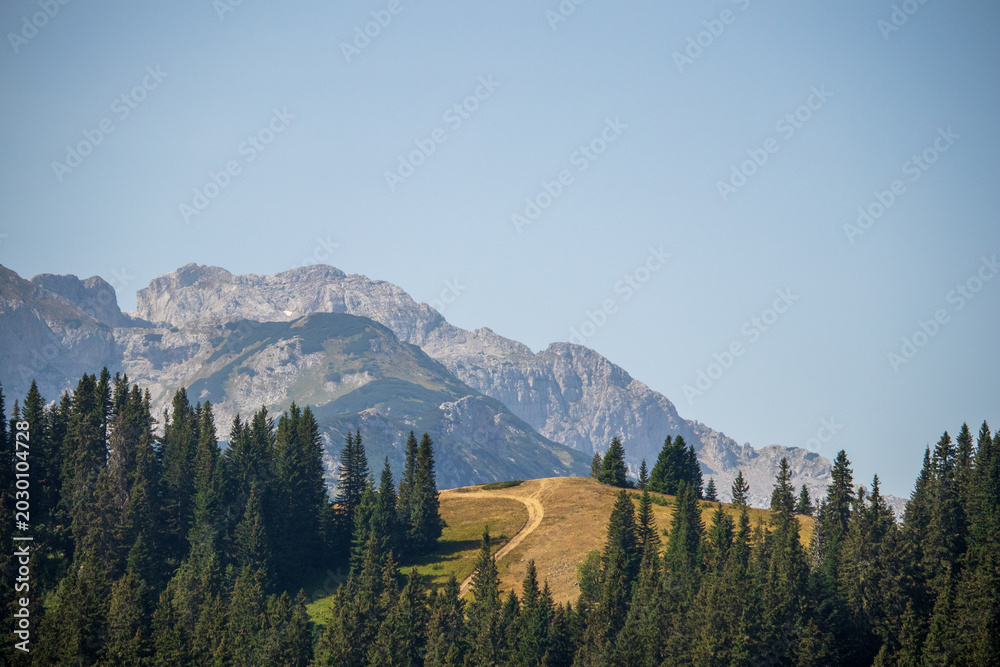Fototapeta premium Beautiful nature and mountain peaks on Mount Durmitor in Montenegro