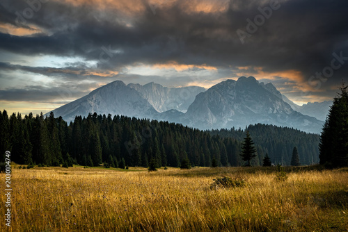 Obraz na plátne Beautiful nature and mountain peaks on Mount Durmitor in Montenegro