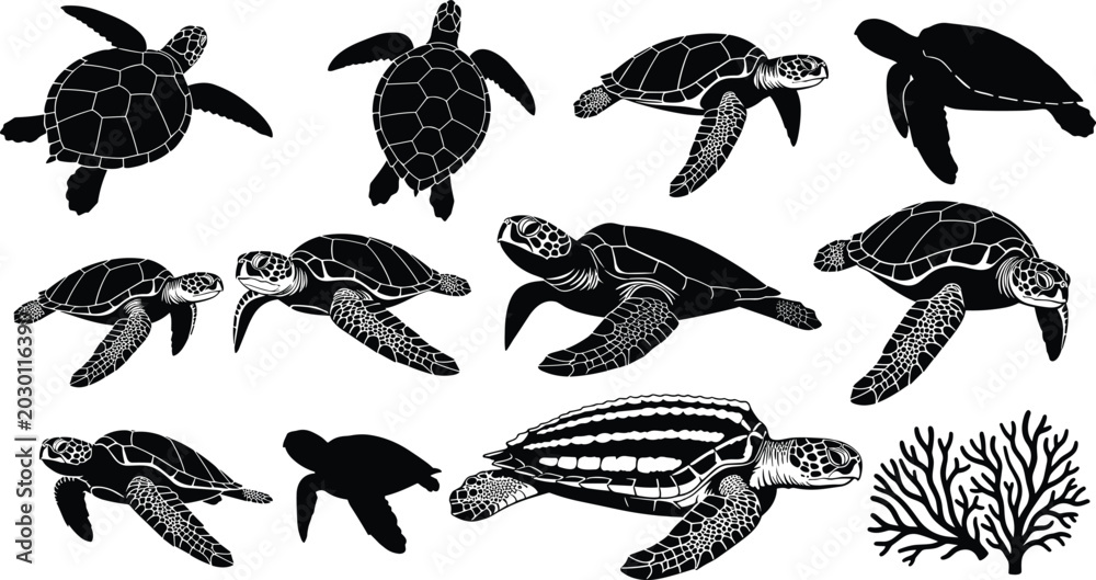 Obraz premium Sea Turtle Silhouette Vector Illustration Set with Ocean Reptile Icons and Coral Reef Elements for Marine Wildlife Designs