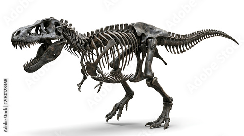 Realistic tyrannosaurus rex skeleton fossil displayed with open jaws isolated against a clean white background for paleontology